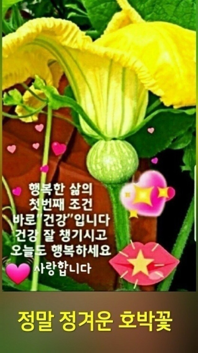 차한잔하시고 즐겁고행복한하루되세요 뉴스트림