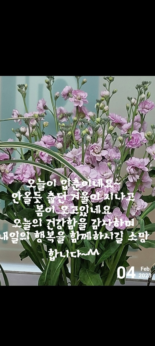 즐거운 주말 보내세요 뉴스트림