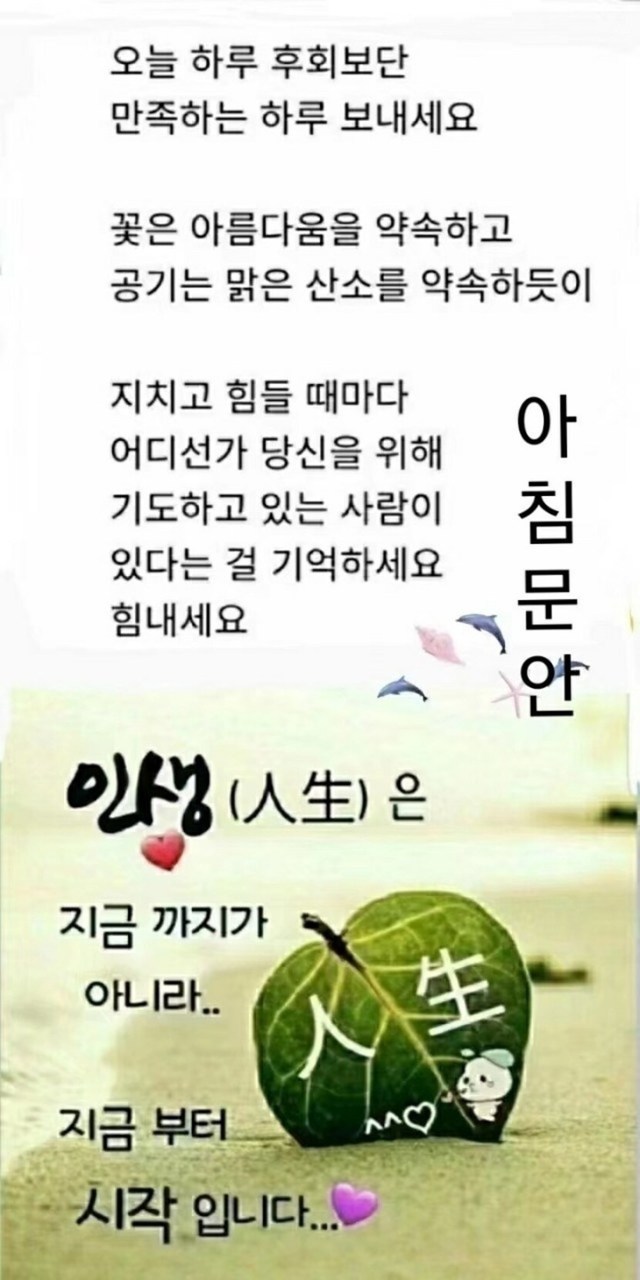 아침 문안인사 자유게 캐시피드