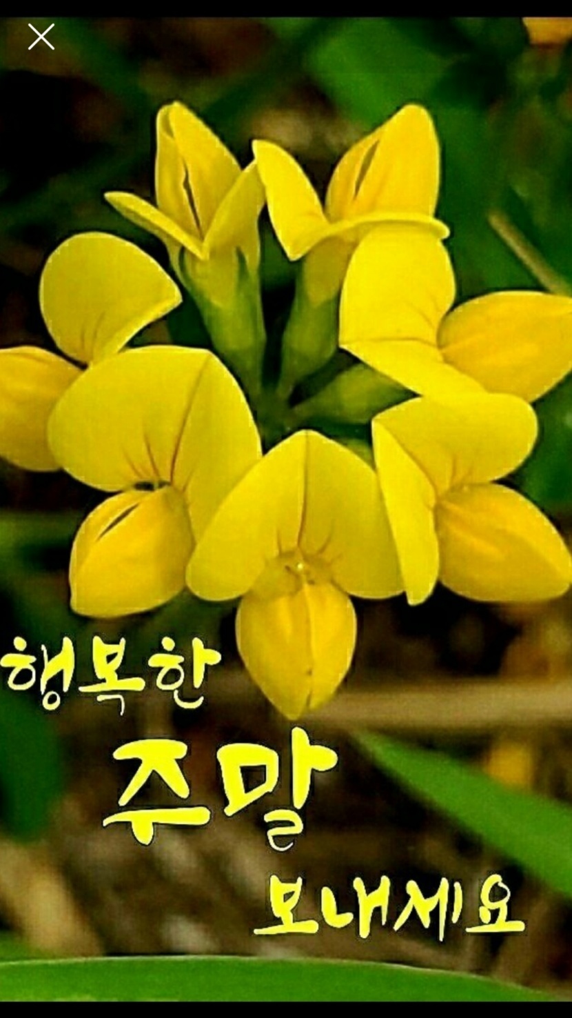 행복한 주말 보내세요 | 자연풍경 | 캐시피드