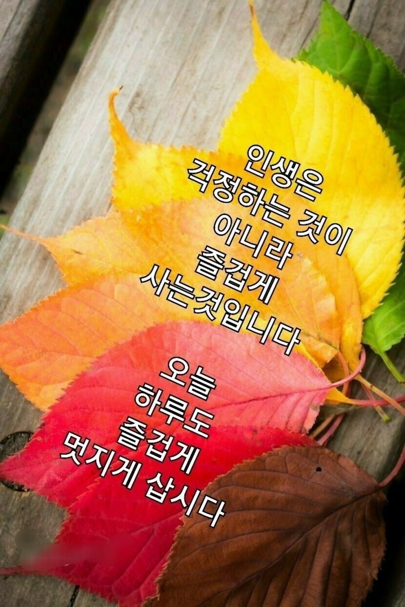 가을 좋은밤되세요 | 자연풍경 | 캐시피드