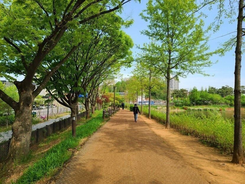 무난하'길' | 자연풍경 | 캐시피드