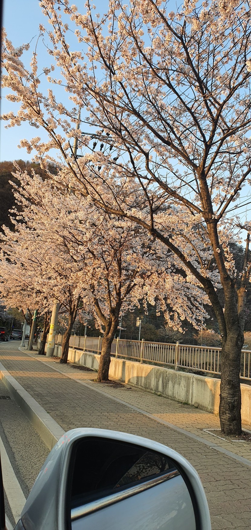 지나가다 | 캐시피드