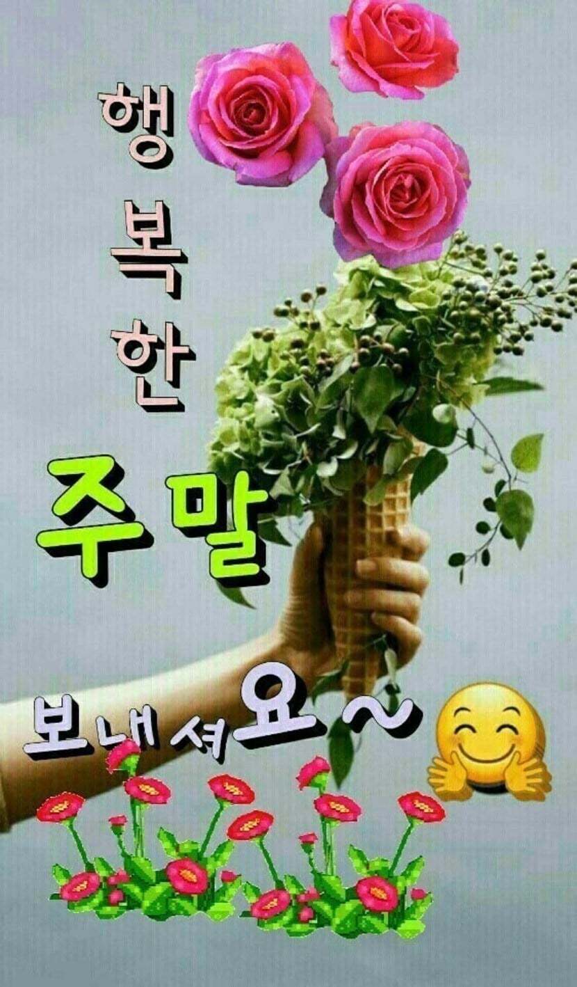 ✳✳기분좋은 일요일 보내세요✳✳ | 꿀팁 | 캐시피드