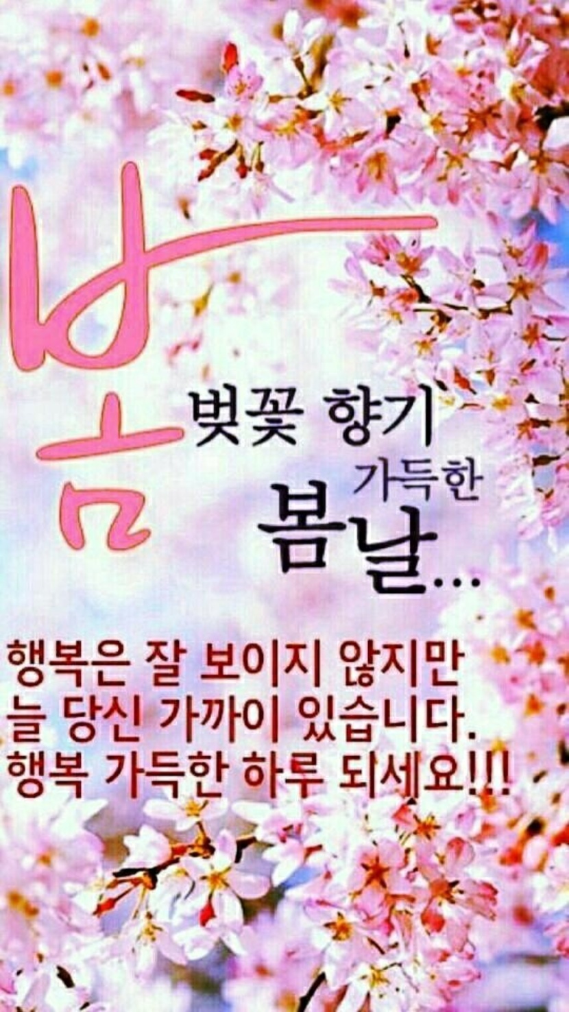 봄 | 자유게 | 캐시피드