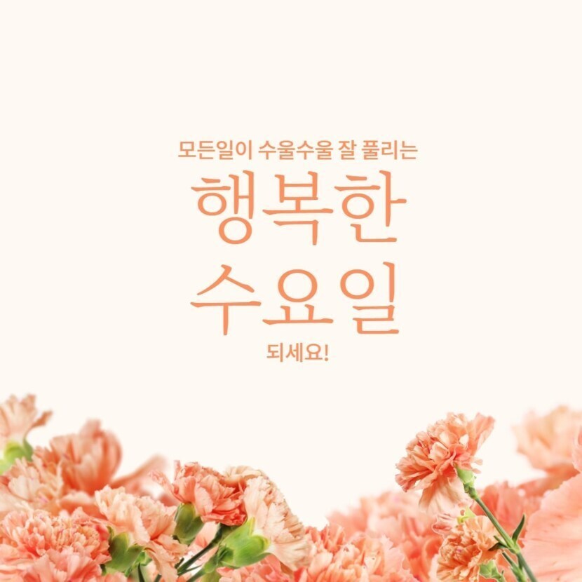 행복한 수요일 되세요🍏🍎 | 자유게 | 캐시피드