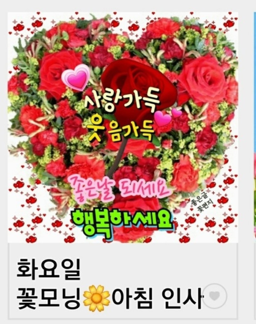 ✳✳즐거운 화요일 되세요✳✳ | 꿀팁 | 캐시피드