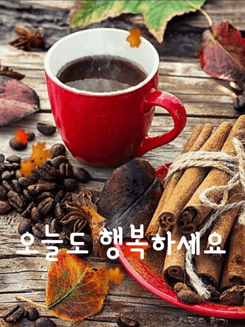 따뜻한 차한잔 | 자연풍경 | 캐시피드
