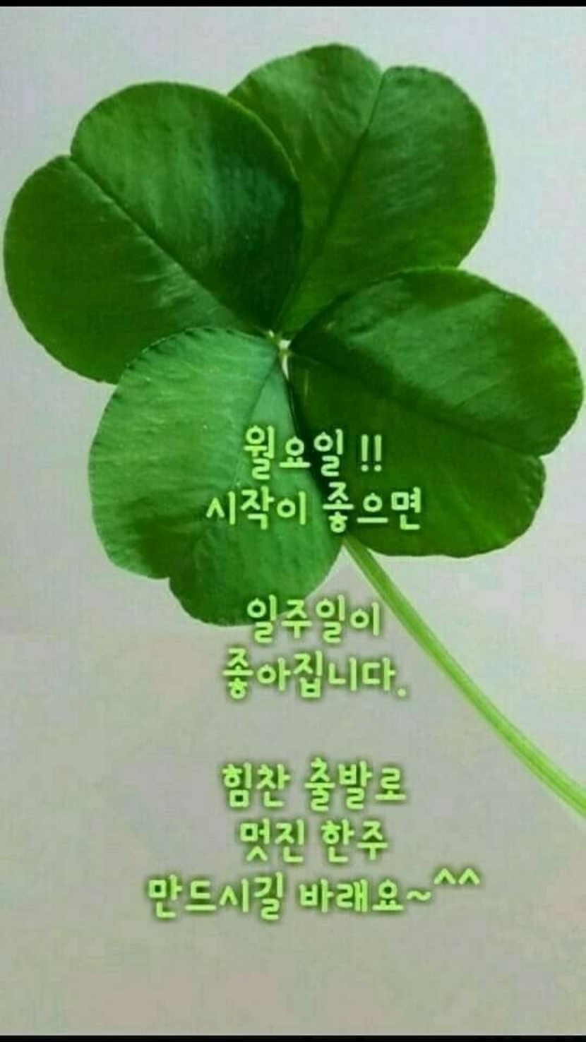 💫💗💗좋은날 좋은아침 행복한 월요일 보내세요 ~~~💯💯 | 자유게 | 캐시피드
