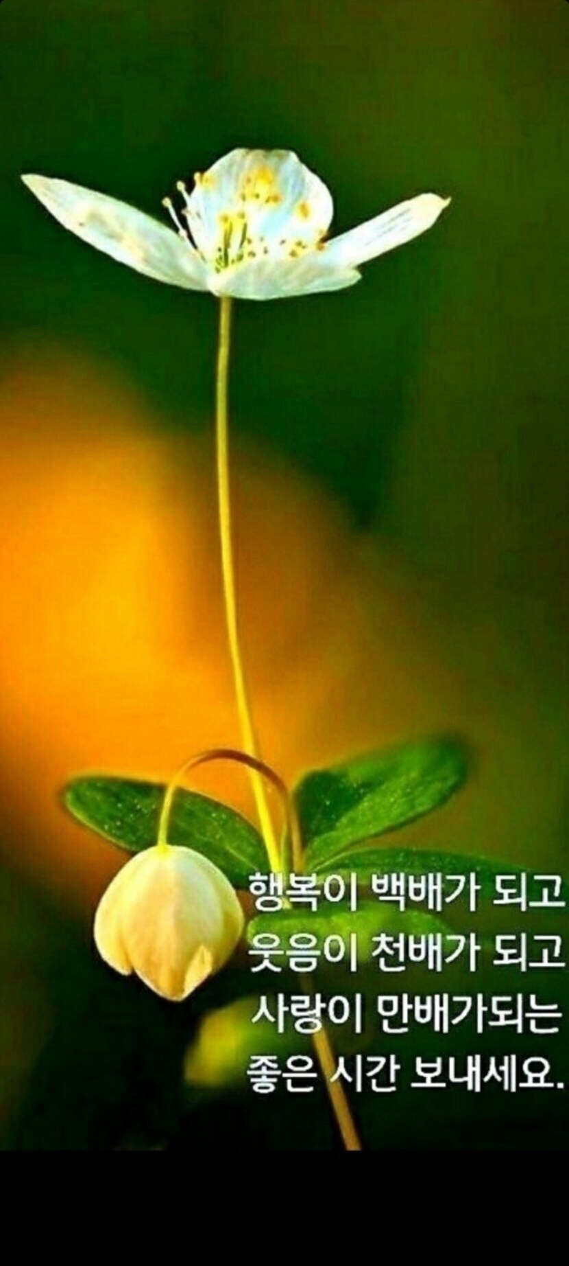 좋은 아침입니다~~~ | 자연풍경 | 캐시피드