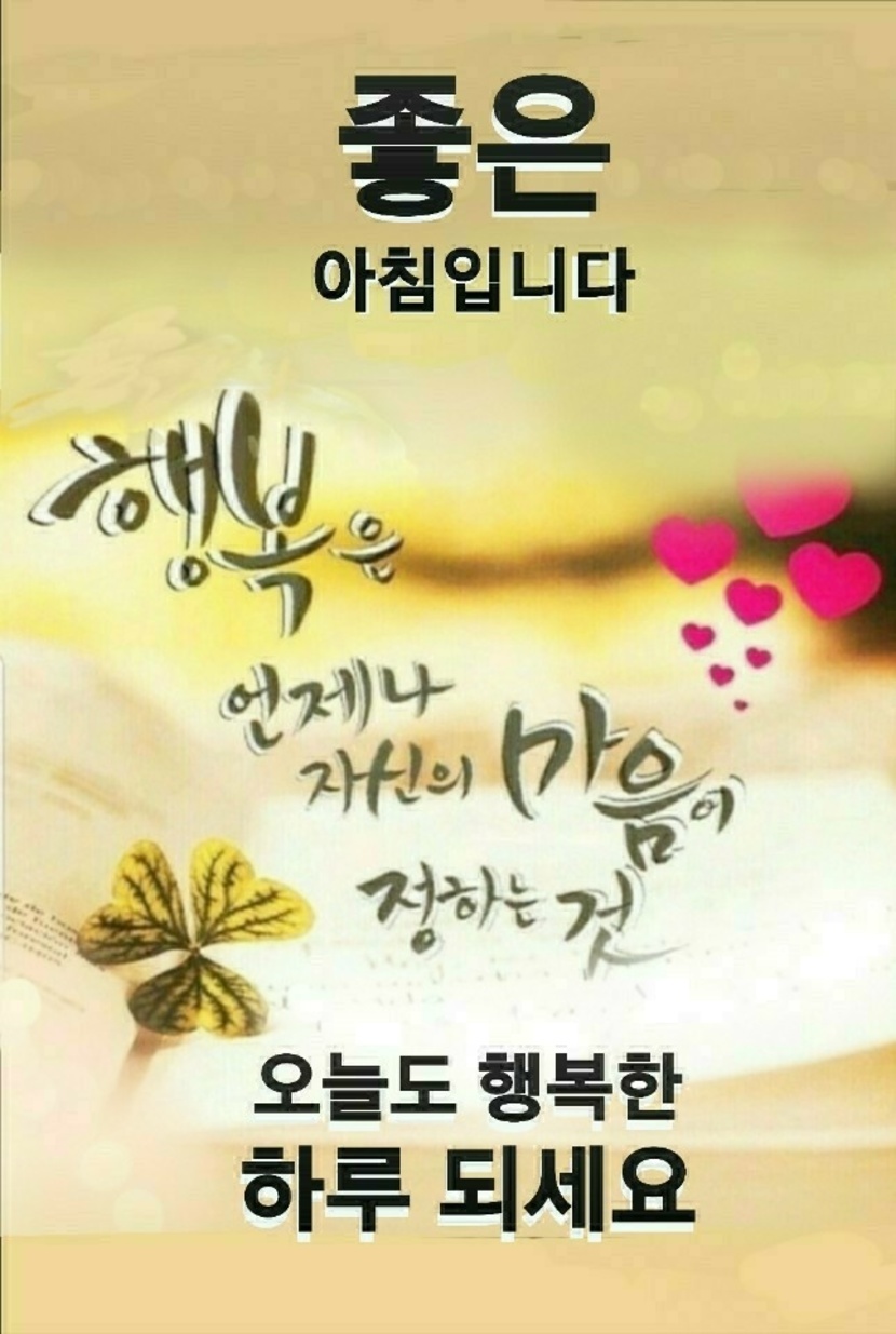 굿모닝 즐거운 주말입니다.즐겁고 행복한 주말 보내세요~~^^ | 자유게 | 캐시피드