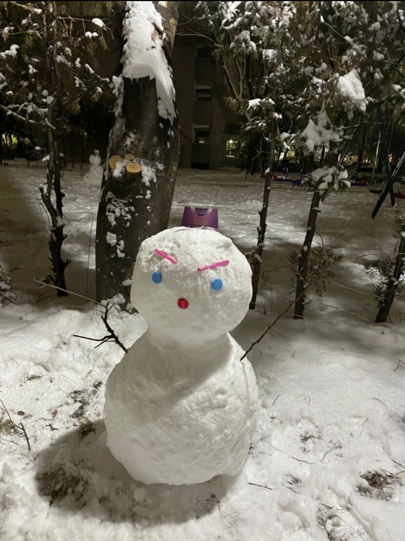 좋은 밤 되세요 ~🌃 | 뉴스트림