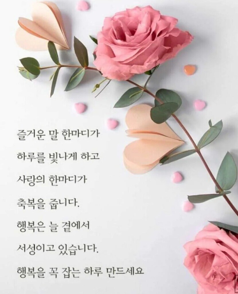 🌈🌈행복하고 즐거운 한주 되세요🌈🌈 | 꿀팁 | 캐시피드