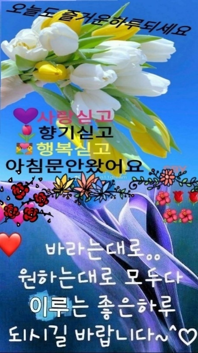 토요일 | 반려동물 | 캐시피드