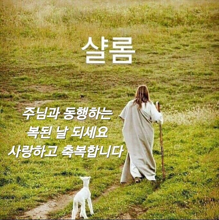 🍒행복출발!! 월요일~! 기분좋은 한주 되세요~♬ | 자유게 | 캐시피드