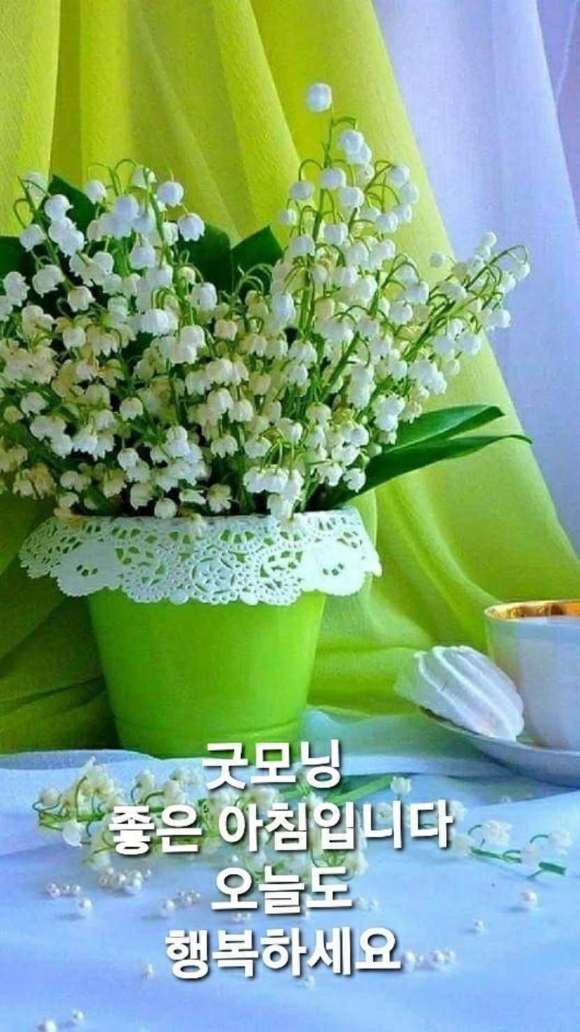 좋은 주말 보내세요. | 자유게 | 캐시피드