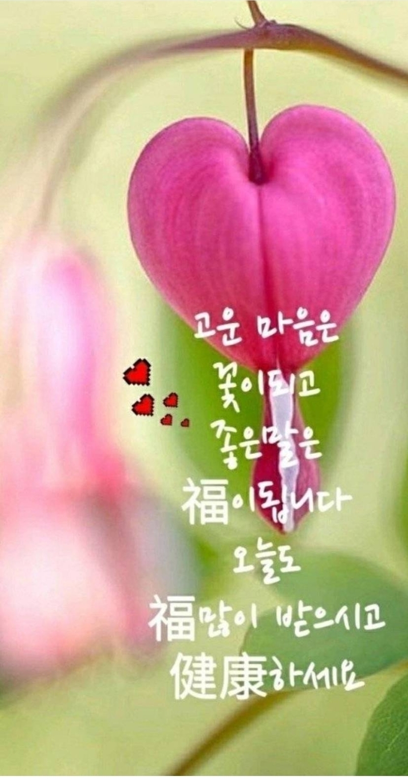 🌈 굿밤되세요🌈 | 자연풍경 | 캐시피드