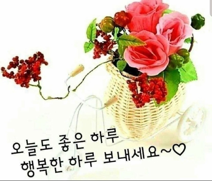 오늘도 좋은하루 되세요 | 뉴스트림