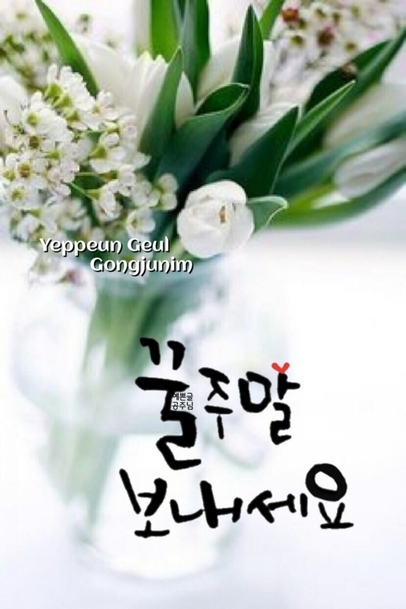 메리 크리스마스 좋은 주말 보내세요 | 꿀팁 | 캐시피드