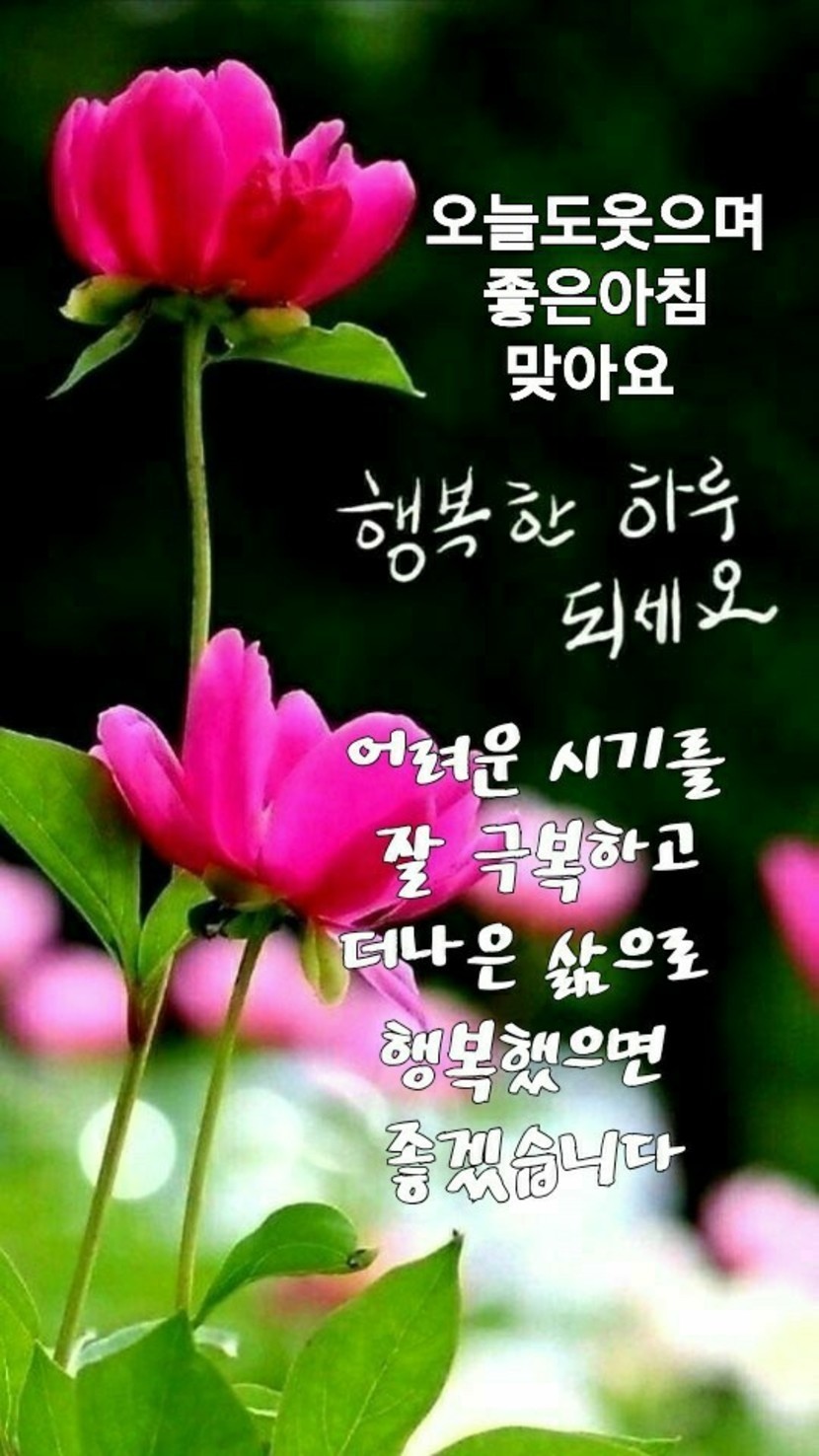 좋은 아침 입니다 | 캐시피드