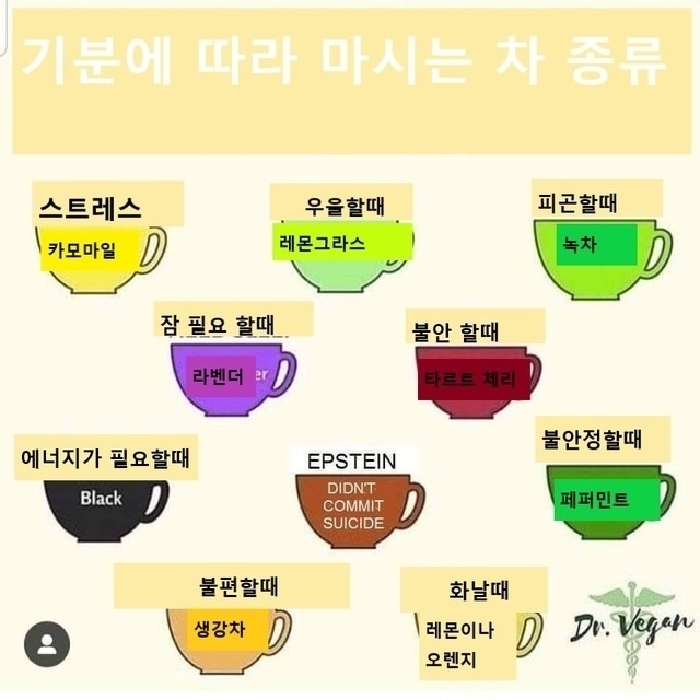 기분에따라 마시는 차 종류 | 꿀팁 | 캐시피드