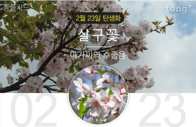 🌈 2월 23일 탄생화는 '살구꽃'...꽃말과 의미는?🌈  | 뉴스트림