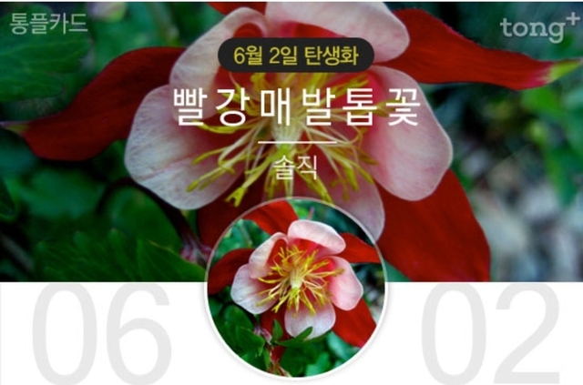 🌈 6월 2일 탄생화‘빨강매발톱꽃'...꽃말과 의미는?🌈  | 뉴스트림