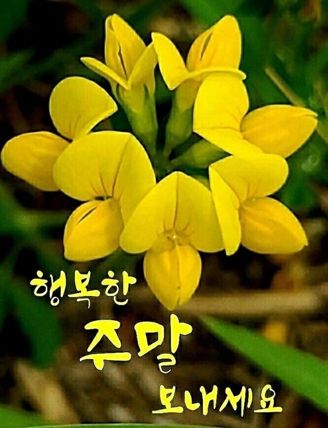 행복한 주말 되세요 | 뉴스트림