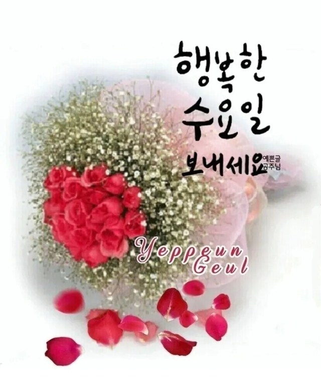 행복한 수요일 보내세요 | 꿀팁 | 캐시피드