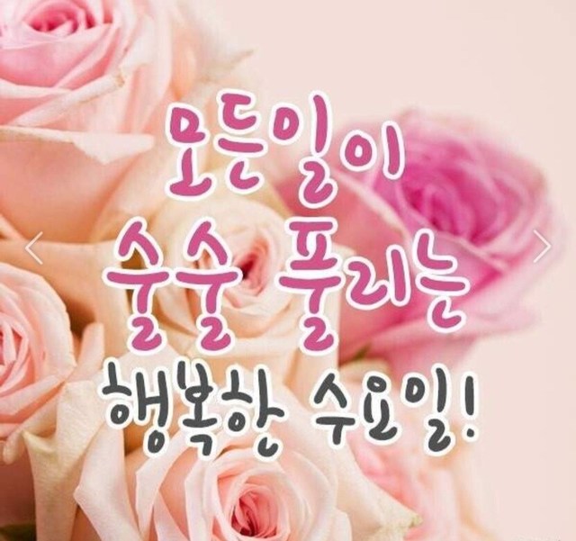 🔖615. 일이 술술 풀리는 수요일 되세요 ️🆗️ | 꿀팁 | 캐시피드