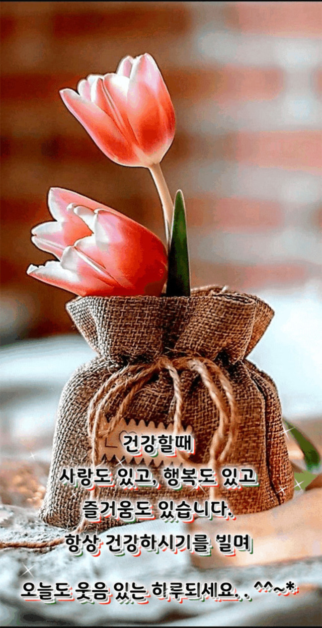굿모닝좋은아침 즐거운하루되세요 | 뉴스트림
