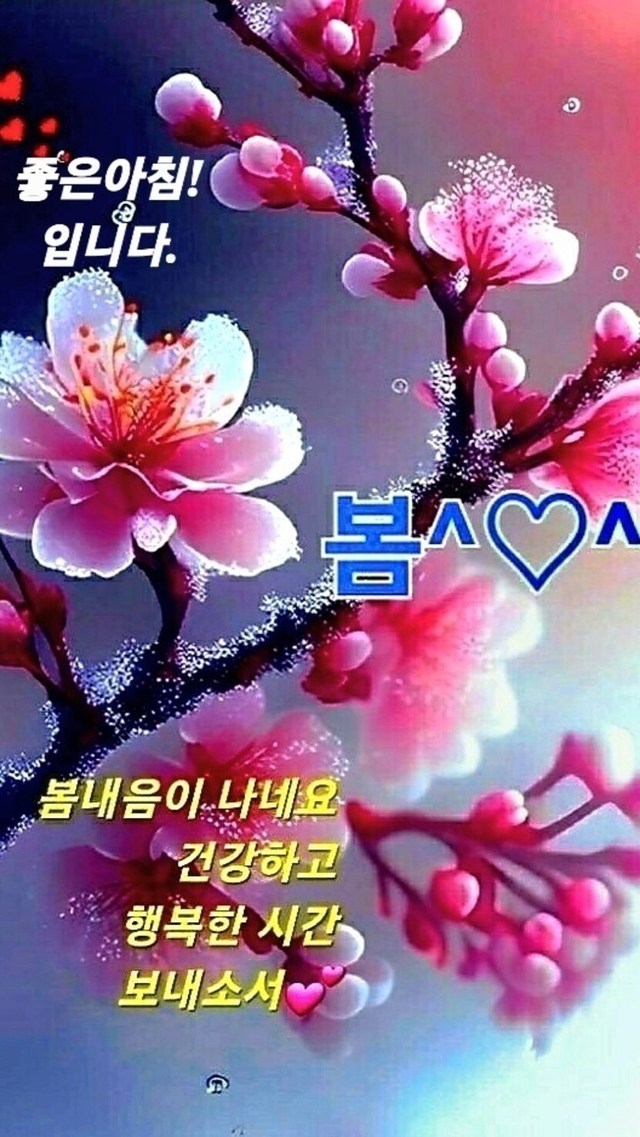 굿모닝 오늘도건강하시고 행복한하루되세요 | 캐시피드